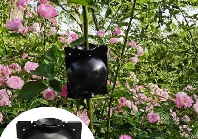 🌱 Augalų šaknų auginimo dėžutė🌱